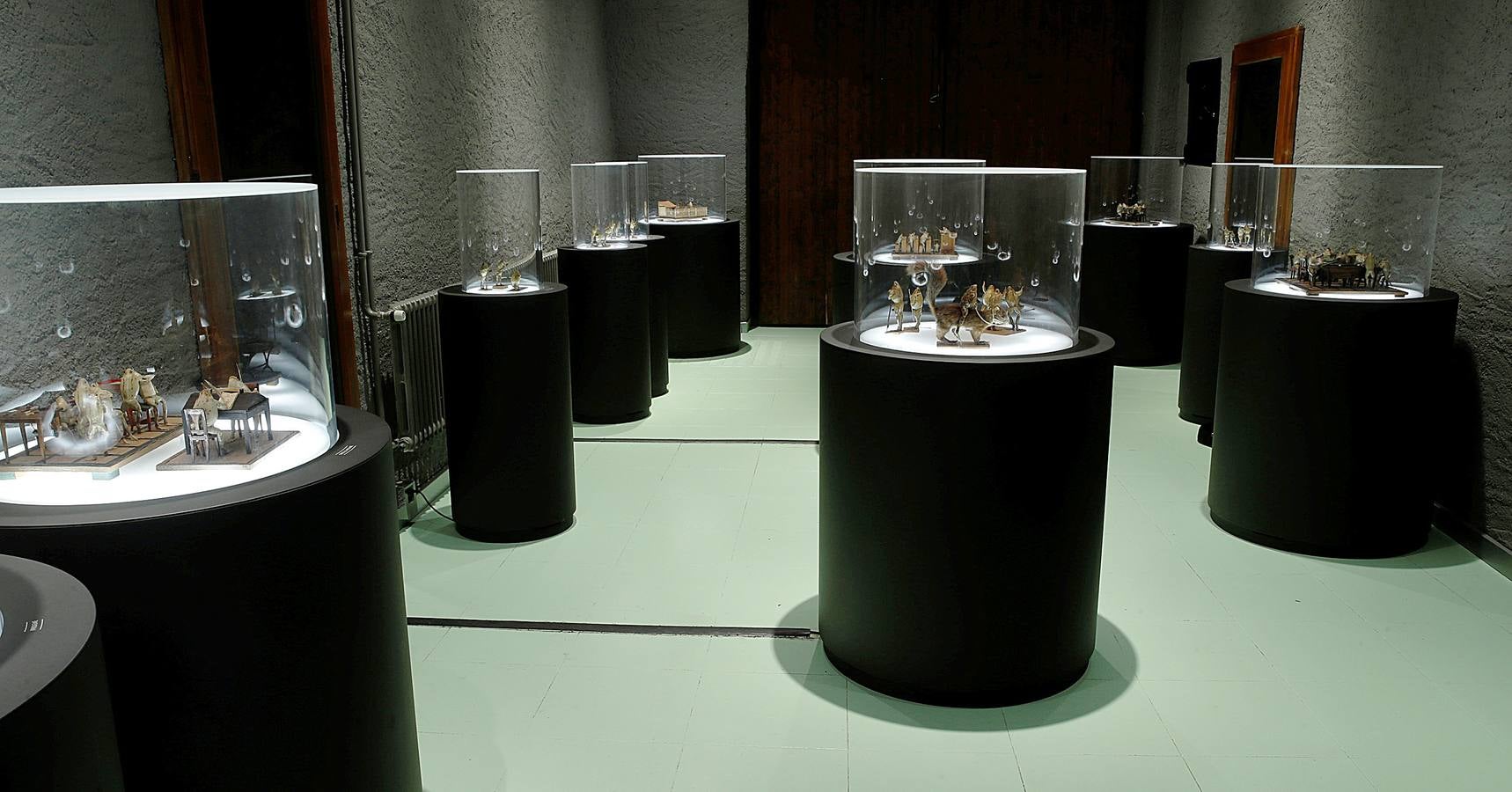 Fotos Ranas, ¿de museo? El Correo